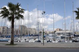 un grupo de barcos atracados en un puerto con una palmera en Casa degli Allori, en Palermo