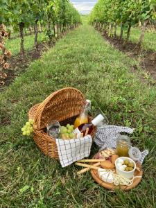 Φωτογραφία από το άλμπουμ του Sklep 353 σε Velke Bilovice