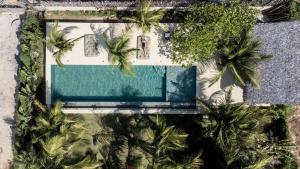 an overhead view of a swimming pool with palm trees at Avra Tatajuba in Tatajuba