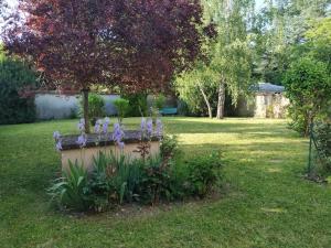 a garden with purple flowers in a yard at Le Victor-Verdure-jardin apaisant in Chartres +8 photos