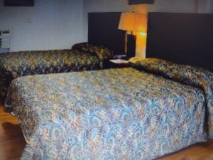 una habitación de hotel con 2 camas y una lámpara en Budget Inn & Suites Lowest Price Daily & Weekly, en Freer