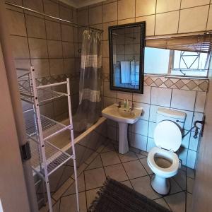a bathroom with a toilet and a sink at The Wild Peach - Menlyn in Pretoria