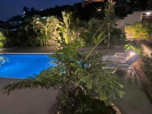 Bazen v nastanitvi oz. blizu nastanitve Villa Grand Jardin