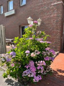 a bouquet of flowers in front of a brick building at Deich Winde 9.1 in Dorum-Neufeld