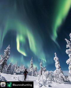 a person riding skis in the snow under the northern lights at Castillo Kelotähti Apartment in Saariselka