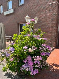 Ein Garten an der Unterkunft Connect 9.3