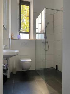 W łazience znajduje się prysznic, toaleta i umywalka. w obiekcie Schicke Monteurunterkunft in Mendig mit drei Wohneinheiten w mieście Mendig