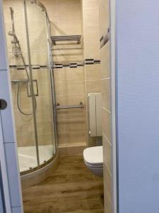 uma casa de banho com um chuveiro e um WC. em Le Repaire - Studio avec parking à 550m de la mer em Houlgate