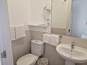 La salle de bains est pourvue de toilettes et d'un lavabo. dans l'établissement Pensión Navarra, à Madrid