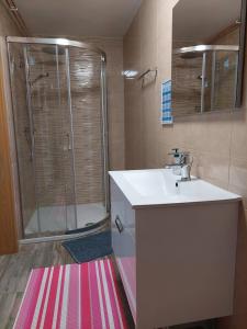 a bathroom with a shower and a sink and a shower at Studio apartma Žirovnik in Cerklje na Gorenjskem