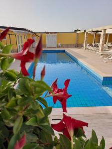 a swimming pool with a red flower in front of it at B&B FreeZone in Modugno
