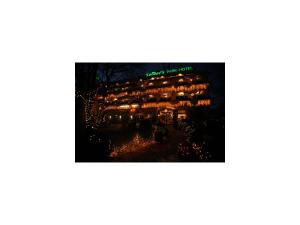 a building covered in christmas lights at night at Seibel's Park Hotel in Munich