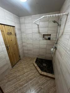 a shower with a wooden door in a bathroom at EcoVilla in Huluboaia