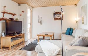 a living room with a couch and a tv at Awesome Home In Jgerspris With Kitchen in Jægerspris