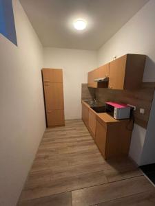 a small kitchen with a sink and wooden cabinets at Monteur-Apartment am Bahnhof in Muhlheim am Main