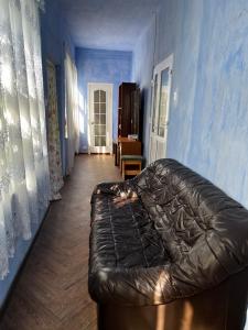 un soggiorno con divano in pelle in una camera blu di EcoVilla a Huluboaia