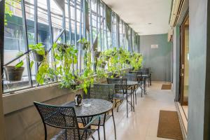 Restaurace v ubytování Hotel Alia Cikini