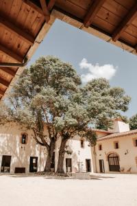 un gran árbol frente a un edificio en Château de la Busquette -, en La Magdelaine-sur-Tarn