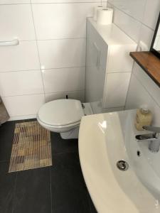 a white bathroom with a toilet and a sink at Apartment am Stettiner Haff in Mönkebude