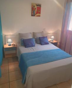 ein Schlafzimmer mit einem großen Bett mit blauen Kissen in der Unterkunft Les Sternes 2 - Apt T2 pieds dans l'eau et jardin in Trois Bassins