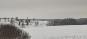 een besneeuwd veld met bomen en een met sneeuw bedekt veld bij Wyskok 1 - dom z widokiem in Srokowo +63 foto's