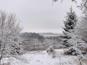 a snow covered forest with two christmas trees at Wyskok 1 - dom z widokiem in Srokowo