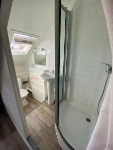 a bathroom with a shower and a toilet and a sink at Studio hypercentre ralliement in Angers