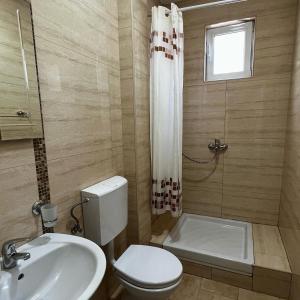 een badkamer met een toilet, een wastafel en een douche bij Apartmani Lukšić in Sutomore