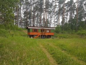 una casa pequeña sentada en un campo junto a un bosque en Zigappo Pullman, en Lychen