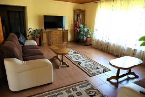 a living room with a couch and a tv at Casa de Vacanta Eva in Stoeneşti