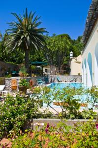 a swimming pool with a palm tree and plants at Hotel Villa Sarah in Capri