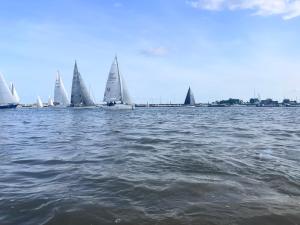 a group of sailboats on a large body of water at The Boot Room Ground Floor Studio Apartment in Burnham-on-Crouch