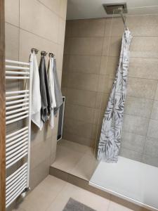 a bathroom with a shower with a shower curtain at Horský apartmán Hubertus č.19 in Karlova Studánka