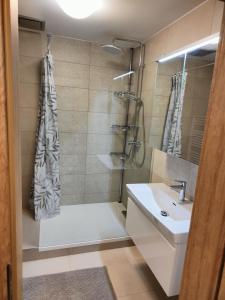 a bathroom with a shower and a sink at Horský apartmán Hubertus č.19 in Karlova Studánka