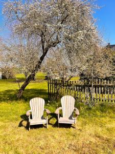zwei Stühle im Gras neben einem Zaun in der Unterkunft Sommerby in Brodersby
