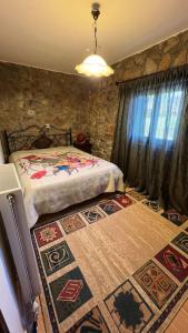 1 dormitorio con cama y alfombra en el suelo en Mountain View - Full Villa, en Polydrosos