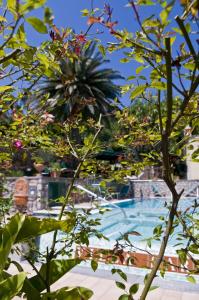 カプリにあるホテル ヴィラ サラの一部の植物を通してスイミングプールの景色を望めます。