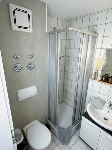 ein Bad mit einer Dusche, einem WC und einem Waschbecken in der Unterkunft Vision - Apartment - Bad Klosterlausnitz in Bad Klosterlausnitz