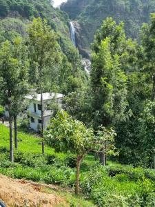 a house in a forest with a waterfall in the background at Camellia Heights 1&2 in Coonoor