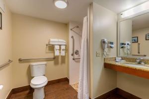 La salle de bains est pourvue de toilettes, d'un lavabo et d'une douche. dans l'établissement Comfort Inn & Suites, à Milford