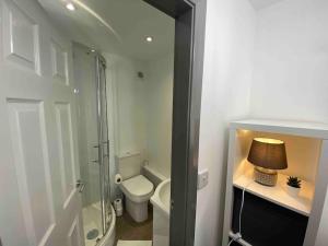 a bathroom with a toilet and a glass shower at Silver Stag Properties, Ensuite Bedrooms w Kitchen in Swadlincote