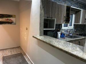 uma cozinha com um balcão e um lavatório em Budget Benefit Break em Alexandria