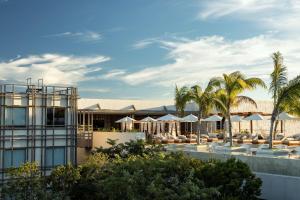 a resort with a pool with lounge chairs and palm trees at Motto By Hilton Tulum in Tulum +127 photos