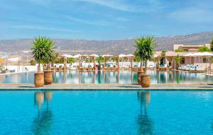 - une piscine avec des palmiers dans un complexe dans l'établissement Hilton Taghazout Bay Beach Resort & Spa, à Taghazout