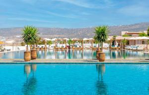 Басейн в Hilton Taghazout Bay Beach Resort & Spa або поблизу