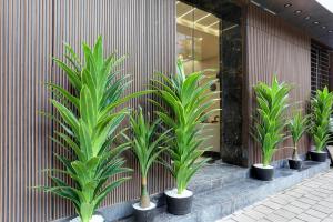 Fotografie z fotogalerie ubytování Hotel Ozone Inn Colaba v Bombaji