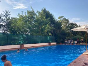 a group of people swimming in a swimming pool at Terrace! in Rome