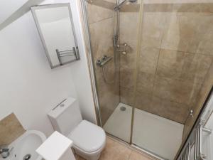 a bathroom with a shower and a toilet at One Tree House in Dinas +26 photos