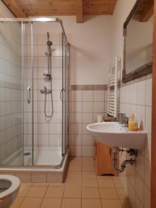 a bathroom with a sink and a shower and a toilet at Chata Kruka - apartamenty in Wetlina
