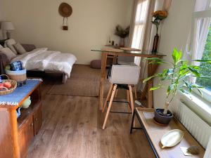een woonkamer met een bed en een bureau. bij Small apartment in historical area near the city in Tallinn